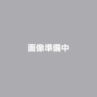 ☆SALE☆【アピオ楽天市場店】【アピオ ジムニー パーツ】トツゲキレッドホース（JA22）