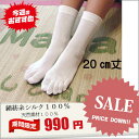 靴下 送料無料 5本指ソックス 20cm丈絹紡糸