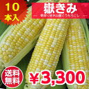●送料無料●嶽きみ 10本入 青森県産 岩木山麗 とうもろこ...