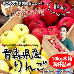 【9月初旬よりご予約順で出荷開始!】りんご 訳あり 10kg 青森 産地直送 わけ有10kg 訳あり10kg段ボール箱出荷の方におまけプレゼント中！【ご注意：沖縄・離島は送料4320円】【ワケアリ10kg】