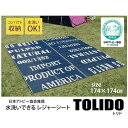 イケヒコ タイポグラフィ 洗えるポリプロピレンラグ 「トリド」 約174×174cm カジュアル 2118150【代引き不可】【北海道沖縄離島は配送不可】-お取り寄せ品-