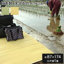 【ポイントアップ★11月25日がおトク★店内全品対象】イケヒコ ラグ 洗える 日本製 国産 アウトドア レジャー アウトドア 和室 シンプル ベージュ 江戸間1畳(約87×174cm) シンプル ベージュ 2113601【代引き不可】【北海道沖縄離島は配送不可】-お取り寄せ品-