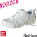 バネのチカラ キッズ ジュニア シューズ ムーンスター mo...