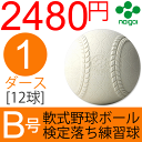 ナイガイ 軟式野球ボール 検定落ち 練習球 B号 中学生用 1ダース 12球/ スリケン B級