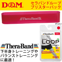 セラバンドループ ブリスターパック/D&M ディー&エム/レッド 赤 1個入 下半身トレ