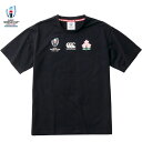 Tシャツ ラガーシャツ メンズ 半袖 ラグビーワールドカップ/カンタベリー canterbury