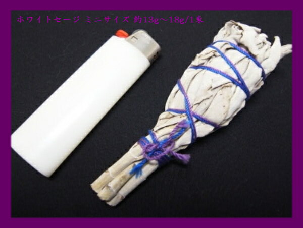 VR΁bJ^bp[Xg[b򉻗pzCgZ[Wb ~jTCYb13g?18g/1b(r[ˍwヌr[L񑩂100~)by}\..