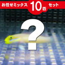 ハゼ MIX 10匹セット!海水魚 生体 ハゼ 15時までの...