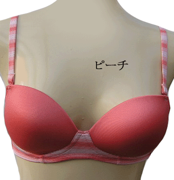 BODY WILDCASUAL SPORTYΥ磻䡼֥饸㡼