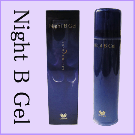 【激安!!夏アウトレットセール!!】【ワコール 睡眠科学】Night B Gel ナイトビージェル『プライスダウン!!20%OFF!!』【◇最終処分!!クリアランス◇】