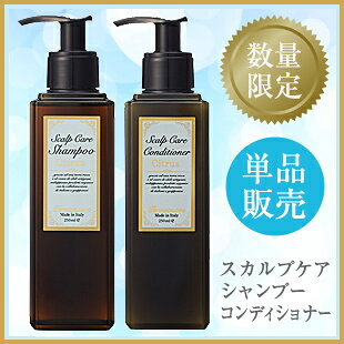 【ポイント5倍】【オーガニックシャンプー】 テラクオーレ シトラス スカルプケア シャンプー コンディショナー 250ml 単品 【数量限定】 Terracuore ノンシリコン 【HLS_DU】 【RCP】