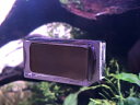 【VERTEX】CLEANER MAG-DUPLEX 熱帯魚...