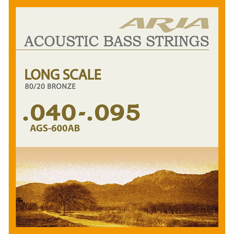 ARIA 　Acoustic Bass Strings　AGS-600AB　お買い得なアコ…...:arabasta:10003548