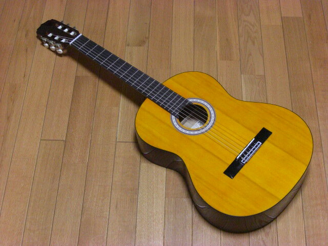 Angelica Classic Guitar AKN-15