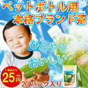 水出し茶 水出し緑茶 冷茶 お茶 ペットボトル 緑茶 深蒸し茶牧之原ブランド茶 望 銀印 ペットボトル用ティーパック!【お茶 ペットボトル 日本茶 煎茶 緑茶 ギフト 水出し 健康茶 ティーバッグ 静岡茶 荒畑園】