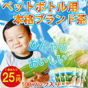 水出し茶 水出し緑茶 冷茶【お茶】【ペットボトル】【緑茶】【深蒸し茶】牧之原ブランド茶 望 銀印 ペットボトル用ティーパック 5袋セット【お茶 ペットボトル 日本茶 煎茶 緑茶 ギフト 水出し 健康茶 ティーバッグ 静岡茶 荒畑園 お中元 御中元