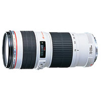 【送料無料】【即納】キヤノン 望遠ズームレンズ EF70-200mm F4L USMJAN末番4207