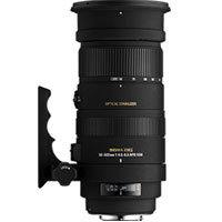 【送料無料】【即納】シグマ 望遠ズームレンズ APO 50-500mm F4.5-6.3 DG OS HSM キヤノン用JAN末番8549