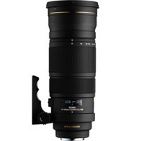 【送料無料】【即納】シグマレンズ　APO 120-300mm F2.8 EX DG OS HSM シグマ用JAN末番6567特別セールにつきお支払いは振込のみとなります