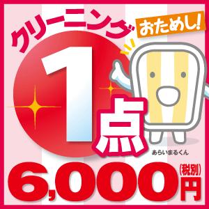 送料無料 布団クリーニング カーペットクリーニング どちらか 1点 ふとんクリーニング 布団丸洗い 羽毛布団クリーニング ふとん丸洗い 羽毛布団 毛布 こたつ布団 カーペット (3帖まで) マット 宅配 往復送料無料