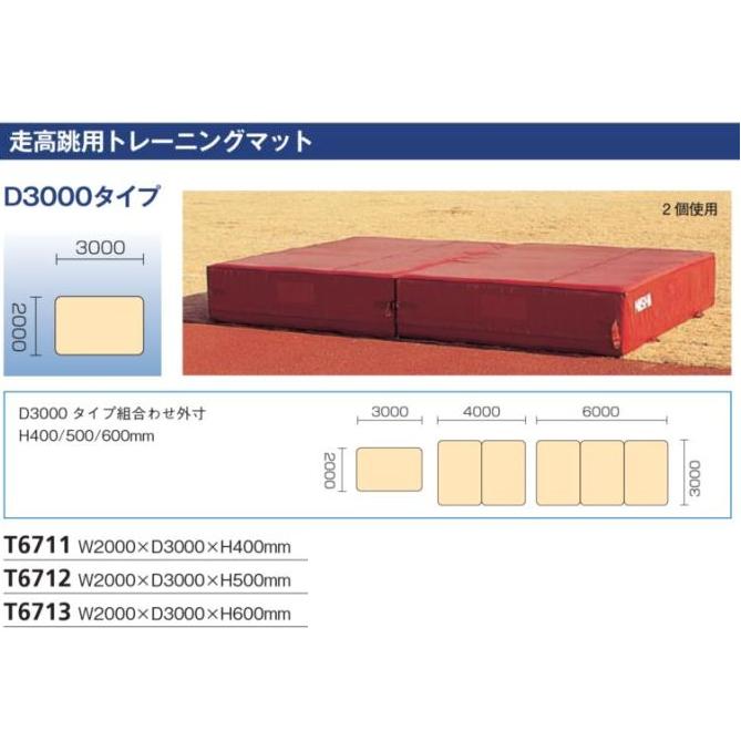 NISHI（ニシ・スポーツ）T6712　【陸上競技】　走高跳用トレーニングマット　D300…...:araspo:10001328