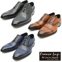 FRANCO LUZI フランコルッチ ストレートチップ ビジネス シューズ TH901 紳士靴 【nesh】 【新品】