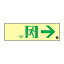 日本緑十字社 高輝度蓄光通路誘導標識 蓄光SN-2901 360901