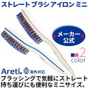 【送料無料】プロフェッショナル マイナスイオン ス