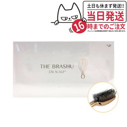 【国内正規品】ドクタースカルプ ザ・ブラシュ|DR SCALP サロン専売 <strong>美容室専売</strong> 美容院 美容師 おすすめ 人気 ランキング クチコミ 女性 男性 レディース メンズ ユニセックス スカルプブラシ 頭皮用ブラシ ブラシ <strong>ヘアブラシ</strong> クレンジング　送料無料