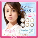 【お買い物マラソン限定P10倍】【カラコン】エバーカラーワンデーモイストレーベル【1箱10枚入×2箱セット】【メール便送料無料】ワンデー 1day 1日使い捨て 度なし 度あり カラコン 14.5mm ワンデー エバーカラーワンデー モイストレーベル 沢尻エリカ