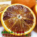 【先行予約】農家直送!土井さんの濃厚ブラッドオレンジ(ご家庭用) 5kg【送料無料】【訳あり】【北海道・沖縄はお届け不可】