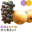 巨峰と旬の梨大人気セット 合計2kg