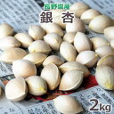 ただ今、出荷中長野県の山の「銀杏(ぎんなん)」2kg(大小バ...