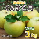 長野県より、11月中旬前後〜発送【自家用】ぐんま名月3kg(8〜10玉)★北海道・九州・沖縄・離島は送料別途