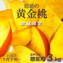 【予約販売 7月下旬前後?発送開始】期間限定 お中元に信州長野県産桃 魅惑の「黄金桃」贈答用3kg(10玉前後)★本州のみ送料無料★
