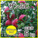 予約販売11月20日頃より発送信州長野県産松林さんちの「サンふじりんご」自家用5kg(11〜16玉)★北海道・中国・四国・九州・沖縄離島は送料別途