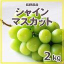 予約販売10月上旬?出荷予定長野県産ぶどう塚田さんちのサンシャインマスカット2kg4?5房入(1房約400g)★北海道・中国・四国・九州・沖縄離島は送料別途