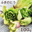 フキノトウ100g予約販売天然山菜・ふきのとう100g（大小バラ詰め）※送料別(クール便)