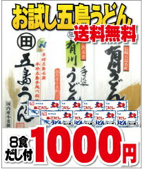 【送料無料】【ご自宅用】お試し手延べ五島うどん3種類（8食 ）あごだしうどんスープ　（8食）【メール便】【日時指定不可】【代引き不可】【1食125円】本格国内産手延べ五島うどん1束（2食）国内産手延べ有川うどん1束（3食）手延べ有川うどん（3食）あごだしうどんスープ　8食