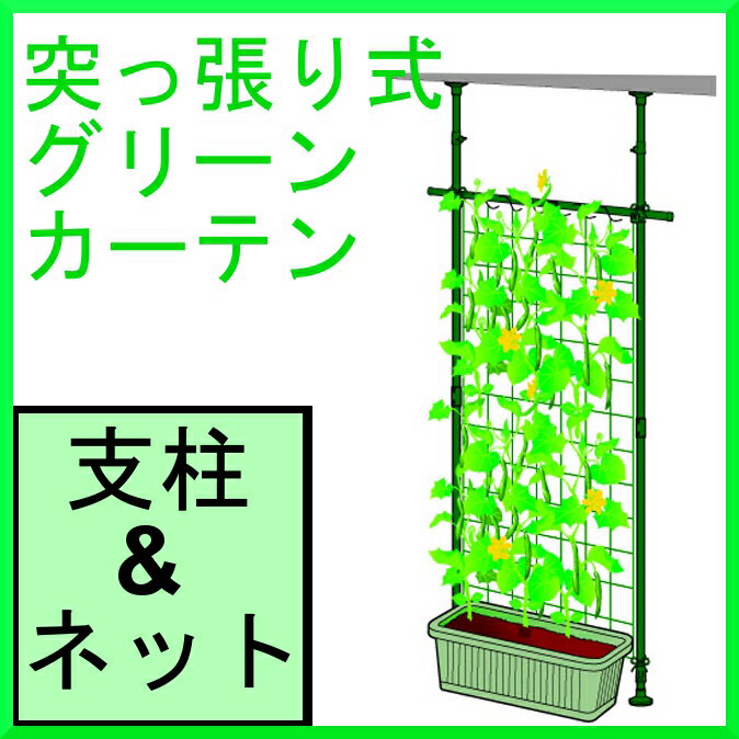 天井突っ張り式グリーンカーテン支柱＆ネット　　GCT-275【送料無料】【アイリスオーヤマ】【つるもの ネット/節電/ガーデニング/園芸/へちま/花　野菜　ベランダ菜園/窓/緑のカーテン】【enetshop0601-B4】【SBZcou1208】