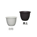 和彩中鉢 6号