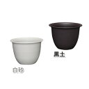 和彩中鉢 8号