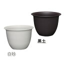 和彩中鉢 10号