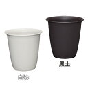 和彩長鉢 9号