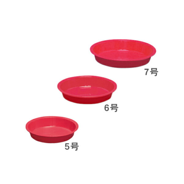 カラー受皿　6号【SBZcou1208】