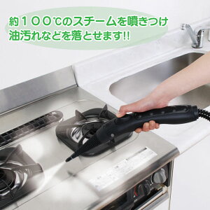 スチームクリーナーキャニスタータイプSTM-415イエロー・シルバー