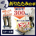 スチール台車 耐荷重300kg SLD-H001BL 送料無...