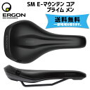 TOPEAK  ERGON GS SM E-}Ee RA vC  Th ]   ꕔn͏