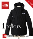■【予約商品 9〜11月入荷予定】THE NORTH FACE ( ノースフェイス ザ・ノースフェイス ) / マウンテン ジャケット Mountain Jacket (2017秋冬 マウンテンジャケット マウンパ パーカ GORE-TEX 撥水 防水透湿 レインウェア) NP61540【WAX】