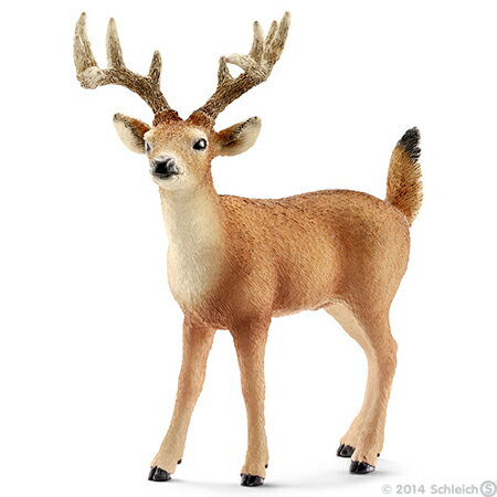 Schleich (シュライヒ) オジロジカ(オス) 14709【全商品・全在庫】【正規品】【☆ポイント☆まとめ買いで送料無料☆】